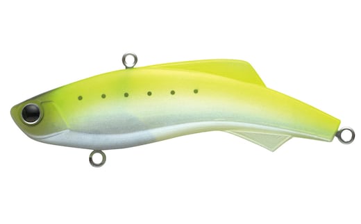 shiriten VIBE 73 #16 チャートイワシ