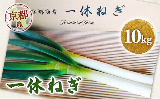一休ねぎ 10kg 京都府 京田辺市 ネギ 野菜 京野菜