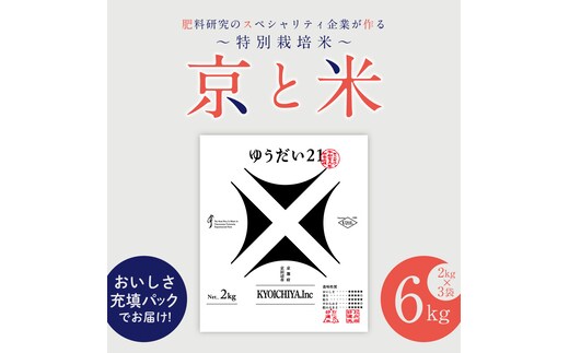 京都府京田辺市産 京と米 ゆうだい21 6kg (2kg×3袋) R7年度産 お米 米 こめ コメ 精米 白米 ごはん ご飯 弁当 おにぎり 真空 長期保存 防災 京田辺市 京都府 kt2026