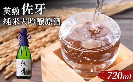 英勲 佐牙 純米大吟醸原酒 720ml 京田辺市産 祝 100%使用 精米歩合40% 日本酒 齊藤酒造 ふるさと納税限定 フルーティー 伏見 地酒 ギフト 贈答 贈り物 高級酒 贅沢 華やか 化粧箱 プレゼント お祝い 内祝い 父の日 母の日 敬老の日 記念日 京都府京田辺市