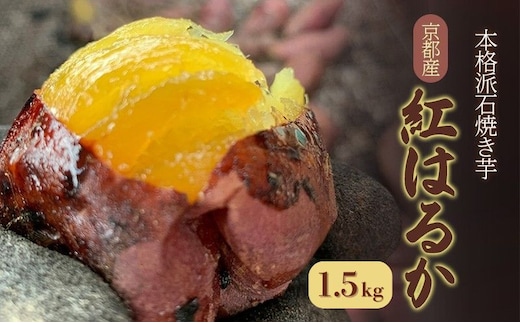 焼き芋 紅はるか 1.5kg 7～8本 京都シャルールファーム 石焼き 糖度 蜜芋 冷凍 食べ比べ さつまいも サツマイモ スイーツ 農薬不使用 無添加 離乳食 おやつ ギフト 特注の石窯 完熟 追熟 天然芳醇な甘味 ねっとりあまい 和菓子 送料無料 京都府 京田辺市