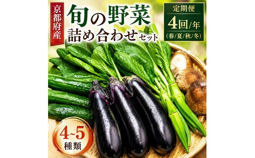【訳あり・定期便】旬の野菜詰め合わせ（全4回 春・夏・秋・冬）野菜 旬野菜 旬 季節の野菜 京都 京田辺市