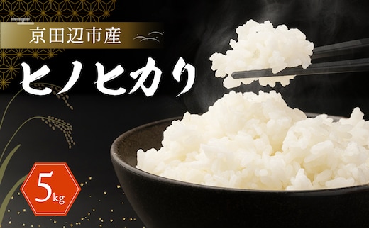 京田辺市産 ヒノヒカリ 5kg R7年度産 お米 米 こめ コメ 精米 白米 ごはん ご飯 弁当 おにぎり 防災 京田辺市 京都府 京都