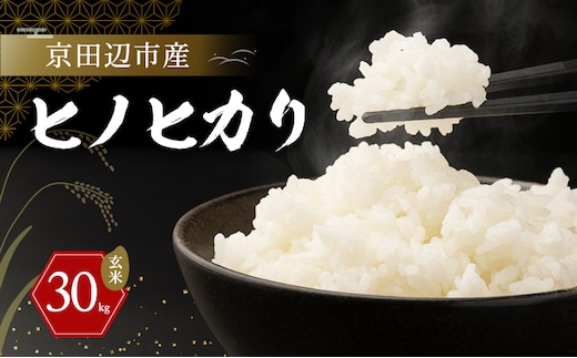 京田辺市産 ヒノヒカリ 30kg 玄米 R7年度産 お米 米 こめ コメ 精米 白米 ごはん ご飯 弁当 おにぎり 防災 京田辺市 京都府