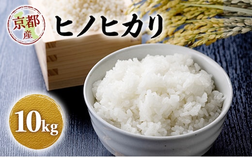 令和8年産 新米 ヒノヒカリ 10kg 米 コシヒカリ お米 ご飯 ごはん 精米 京都府 京田辺市
