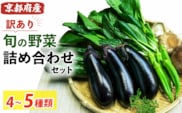 【訳あり】旬の野菜詰め合わせ セット