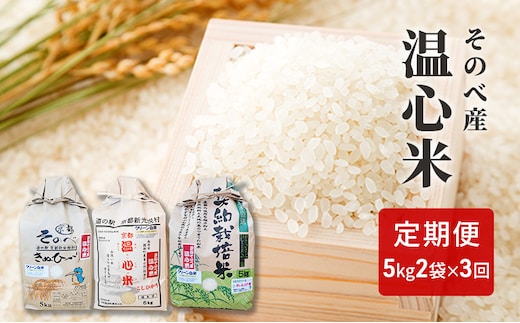 米 定期便 3ヶ月 コシヒカリ キヌヒカリ れんげ米 各 5kg ×2袋 そのべ産 温心米 2025年度産 お米 食べ比べ 10kg 30kg 単一原料米 こしひかり きぬひかり 丹波 精米 白米 こめ コメ 京都 頒布会 定期 お楽しみ 3回 