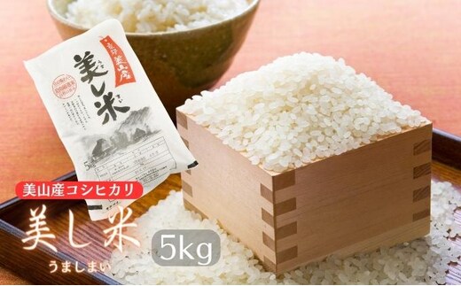 米 美し米 5kg 美山産 コシヒカリ 白米 精米 コメ こめ お米 こしひかり 5 キロ ご飯 ごはん 京都 