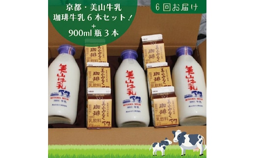 牛乳 定期便 6ヶ月 京都 美山牛乳 瓶 900ml ×3本 珈琲牛乳 200ml ×6本 詰め合わせ セット 美山町 お取り寄せ コーヒー牛乳 パック 定期 お楽しみ 6回 ※北海道・沖縄・離島への発送不可 