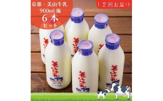 牛乳 定期便 12ヶ月 京都 美山牛乳 瓶 900ml ×6本 セット 美山町 お取り寄せ 定期 お楽しみ 12回 ※北海道・沖縄・離島への発送不可 