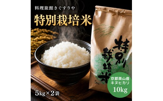 【令和8年度】 料理旅館きぐすりや 特別栽培米 キヌヒカリ 10kg 令和8年 精米 白米 お米 こめ コメ 減農薬栽培 10キロ 5kg×2 ご飯 ごはん 京都 ※9月下旬より順次発送 新米26