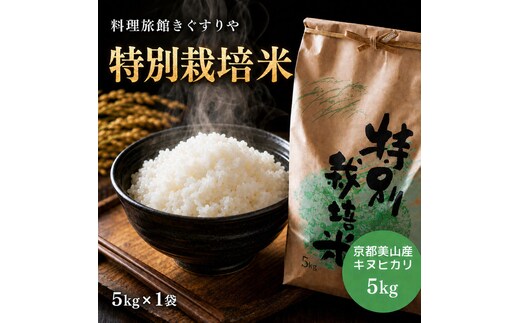 【令和8年度】 料理旅館きぐすりや 特別栽培米 キヌヒカリ 5kg 令和8年 精米 白米 お米 こめ コメ 減農薬栽培 5 キロ ご飯 ごはん 京都 ※9月下旬より順次発送 新米26