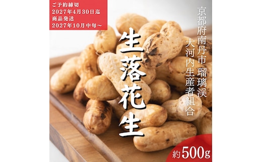 落花生 京都 2027年 先行予約 生落花生 るり渓 大河内生産組合発 丹波 野菜 国産 ピーナッツ おつまみ 先行 ※北海道・沖縄・離島への発送不可 秋26