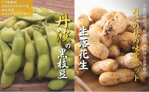 枝豆 京都 2026年 先行予約 黒枝豆 生落花生 るり渓 大河内生産組合発 丹波 野菜 国産 生 落花生 おつまみ えだまめ エダマメ 先行 ※北海道・沖縄・離島への発送不可 