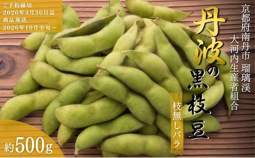 枝豆 京都 2026年 先行予約 丹波黒枝豆 バラ 約500g るり渓 大河内生産組合発 丹波 野菜 国産 生 黒枝豆 おつまみ えだまめ エダマメ 先行 ※北海道・沖縄・離島への発送不可 