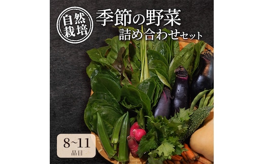 自然栽培・季節の野菜詰め合わせセット 旬 新鮮 採れたて 栽培期間中 無農薬 無化学肥料 安心安全 自然派 産地直送 やさい 詰め合わせ 京都府 南丹市