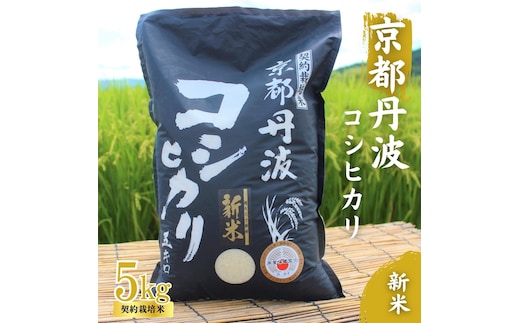令和7年産 京都丹波産 こしひかり 5kg 契約栽培米 白米 精米 お米 こめ コシヒカリ 令和7年 ご飯 ごはん 京都 京都府 南丹市 新米