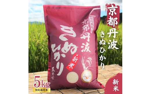 令和7年産 京都丹波産 きぬひかり 5kg 契約栽培米 白米 精米 お米 こめ コメ キヌヒカリ 令和7年 ご飯 ごはん 京都 京都府 南丹市 新米