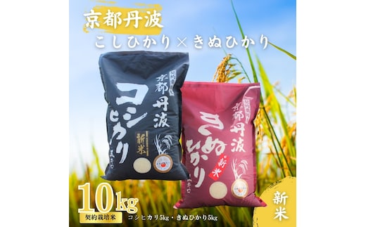 令和7年産 こしひかり きぬひかり 10kg (5kg×2) 食べ比べセット 詰め合わせ 米 白米 精米 お米 こめ コメ コシヒカリ キヌヒカリ 食べ比べ セット 令和7年 ご飯 ごはん 京都 京都府 南丹市