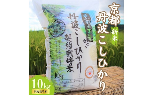 令和7年産 京都丹波産 こしひかり 10kg 契約栽培米 白米 精米 お米 こめ コメ コシヒカリ 令和7年 ご飯 ごはん 京都 京都府 南丹市 新米
