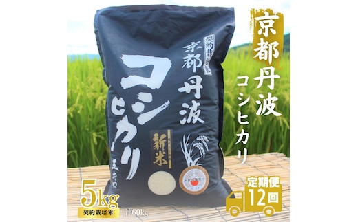 定期便 12ヶ月 令和7年産 こしひかり 京都丹波産 5kg 米 白米 精米 お米 こめ コメ コシヒカリ 精米したて 特A 特A米 令和7年 ご飯 ごはん 12回 1年 お楽しみ 京都 京都府 南丹市