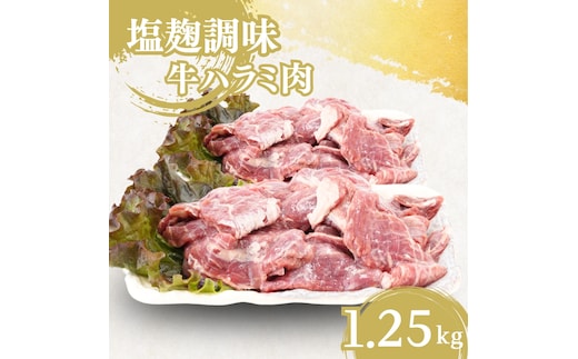 牛ハラミ肉 塩麹調味 一口カット 1.25kg (250g×5パック) セット 詰め合わせ 牛 牛肉 お肉 肉 牛ハラミ ハラミ ハラミ肉 味付け肉 味付き肉 小分けパック 小分け 焼肉 焼き肉 アウトドア キャンプ 京都 京都府 南丹市