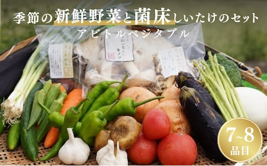 季節の新鮮野菜と菌床しいたけのセット アビトルベジタブル 野菜 詰め合わせ 旬 新鮮 京都府 南丹市