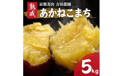 産地直送 さつまいも 5kg 熟成 あかねこまち 京都丹波産 【※予約商品25年12月より順次発送】