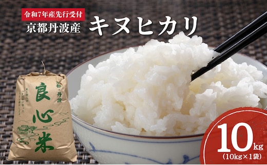 【2025年11月以降順次発送】 令和7年度産 新米予約 キヌヒカリ 10kg 京都丹波産 良心米 米 新米 白米 ごはん