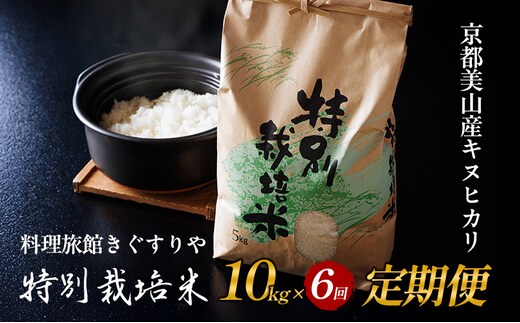 定期便 6回 料理旅館きぐすりや 令和8年産 特別栽培米キヌヒカリ 10kg 新米26