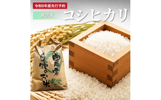【先行予約】無洗米 令和8年産 コシヒカリ 10kg【 お米 米 コメ 精米 南丹市 】 新米26