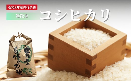 【先行予約】無洗米 令和8年産 コシヒカリ 10kg【 お米 米 コメ 精米 南丹市 】