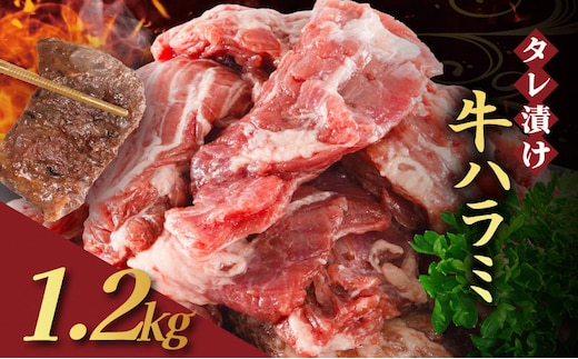 【訳あり】 タレ漬け 牛ハラミ 1.2kg 4P 肉 牛 牛肉 ハラミ 味付け タレ ハラミ肉 BBQ バーベキュー 焼き肉 焼肉 焼肉セット アウトドア キャンプ ギフト 真空 パック 小分け 300g 個包装 簡単 便利 冷凍 人気 京都 南丹市 神戸 ミートフーズ