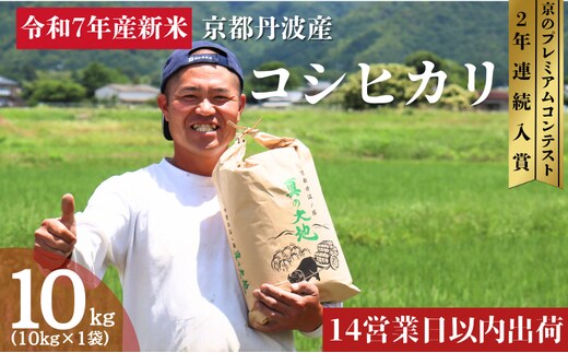 令和7年産 京都丹波産 コシヒカリ 10kg 新米 新米予約 京都 丹波 京都丹波 京都丹波産 コシヒカリ 10kg お米 米 ごはん 美味しい 産地直送 安心安全 旨み 香り 歯ごたえ 京都産 送料無料 