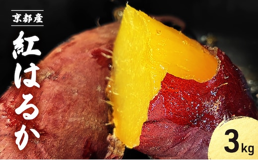 紅はるか 3kg サツマイモ 【11月以降順次発送】 さつまいも 芋 京都府 南丹市