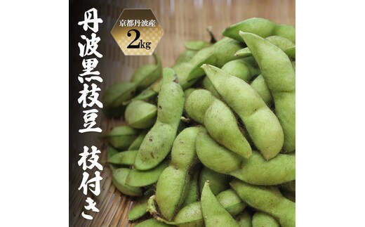 枝豆 令和8年10月発送分 先行予約 京都丹波産 丹波黒枝豆 枝付き 2kg 黒枝豆 秋26
