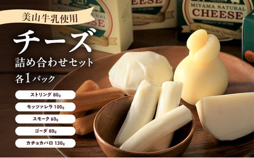 美山牛乳 チーズ 詰め合わせセット | ストリング モッツァレラ スモーク ゴーダ カチョカバロ セット おつまみ 食べ比べ 乳製品 南丹市