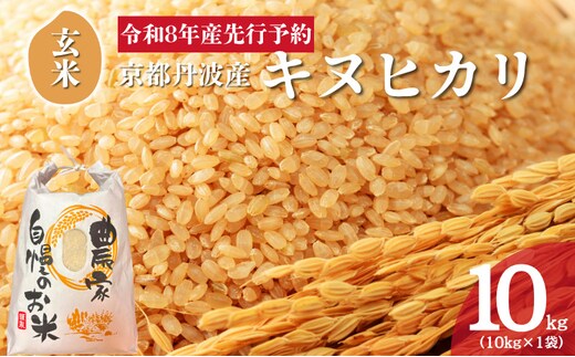 令和8年産 京都丹波産キヌヒカリ 玄米 10kg 米 お米 新米 南丹市 京都