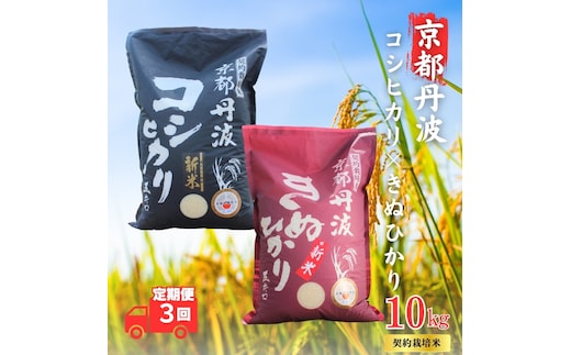 【3カ月定期便】令和7年産 新米 京都丹波産 こしひかり・きぬひかり 食べ比べセット 10kg 合計30kg