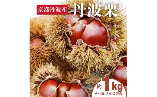 栗 丹波栗 1kg M～3L サイズ 栗