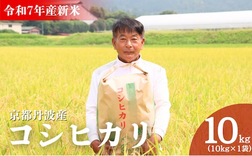 令和7年産 京都丹波産 コシヒカリ 10kg 米 こしひかり 精米 白米 