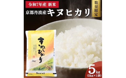 令和7年産 新米 京都丹波産 キヌヒカリ 5kg 数量限定キャンペーン | 米 お米 コメ 精米