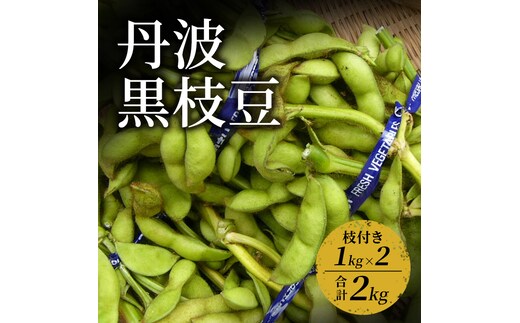 丹波黒枝豆 1kg（枝付き）×2 | 野菜 えだまめ えだ豆 おつまみ 京都府 南丹市
