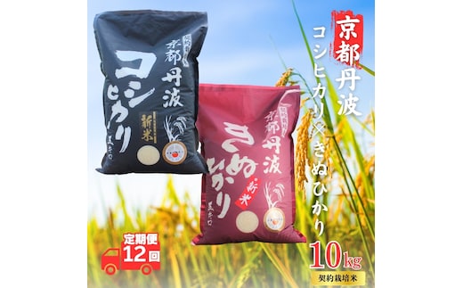 【12カ月定期便】令和7年産 新米 京都丹波産 こしひかり・きぬひかり 食べ比べセット 10kg 合計120kg