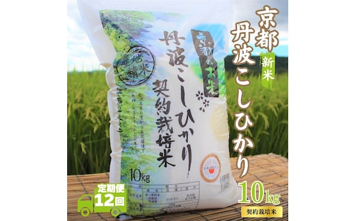 【12カ月定期便】令和7年産 新米 京都丹波産 こしひかり 10kg 合計120kg