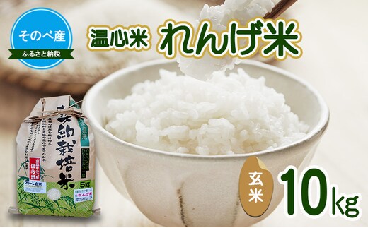 れんげ米10kg 玄米×1 令和7年度産 そのべ産 温心米 お米 単一原料米 こしひかり 丹波 精米 玄米 こめ コメ 京都