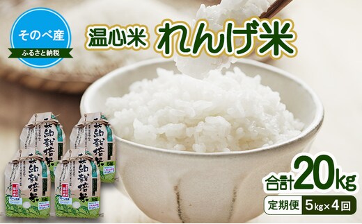 【定期便】れんげ米5kg×4回 合計20kg 令和7年度産 そのべ産 温心米 お米 単一原料米 こしひかり 丹波 精米 白米 こめ コメ 京都
