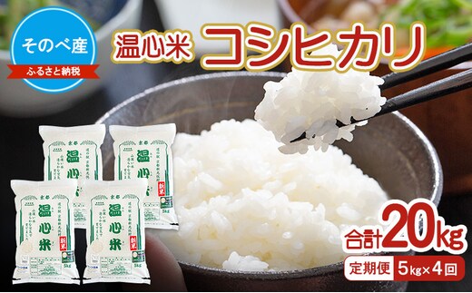 【定期便】コシヒカリ5kg×4回 合計20kg 令和7年度産 のべ産 温心米 お米 20kg 単一原料米 こしひかり 丹波 精米 白米 こめ コメ 京都