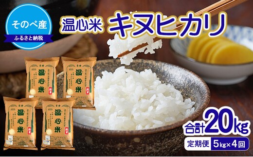 【定期便】キヌヒカリ5kg×4回 合計20kg 令和7年度産 そのべ産 温心米 米 20kg 単一原料米 きぬひかり 丹波 精米 白米 こめ コメ 京都