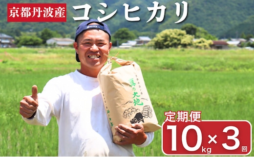 定期便 令和7年産 京都丹波産 コシヒカリ 10kg 3回